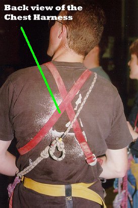 Chest Harness (back view)