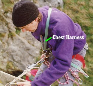 Chest Harness