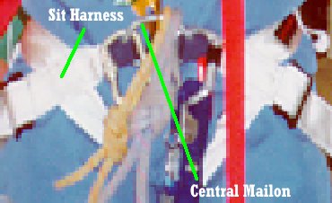 The Sit Harness