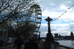 The Millennium Wheel